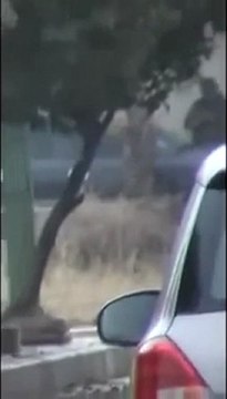 فري برس ‫انتشار الجيش الاسدي في الانشاءات والمدرعات واصوات الرصاص والتكبير تخرج من حي باباعمرو 5 11 2011‬ ج2