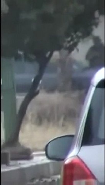 فري برس   ‫انتشار الجيش الاسدي في الانشاءات والمدرعات واصوات الرصاص والتكبير تخرج من حي باباعمرو 5 11 2011‬ ج2