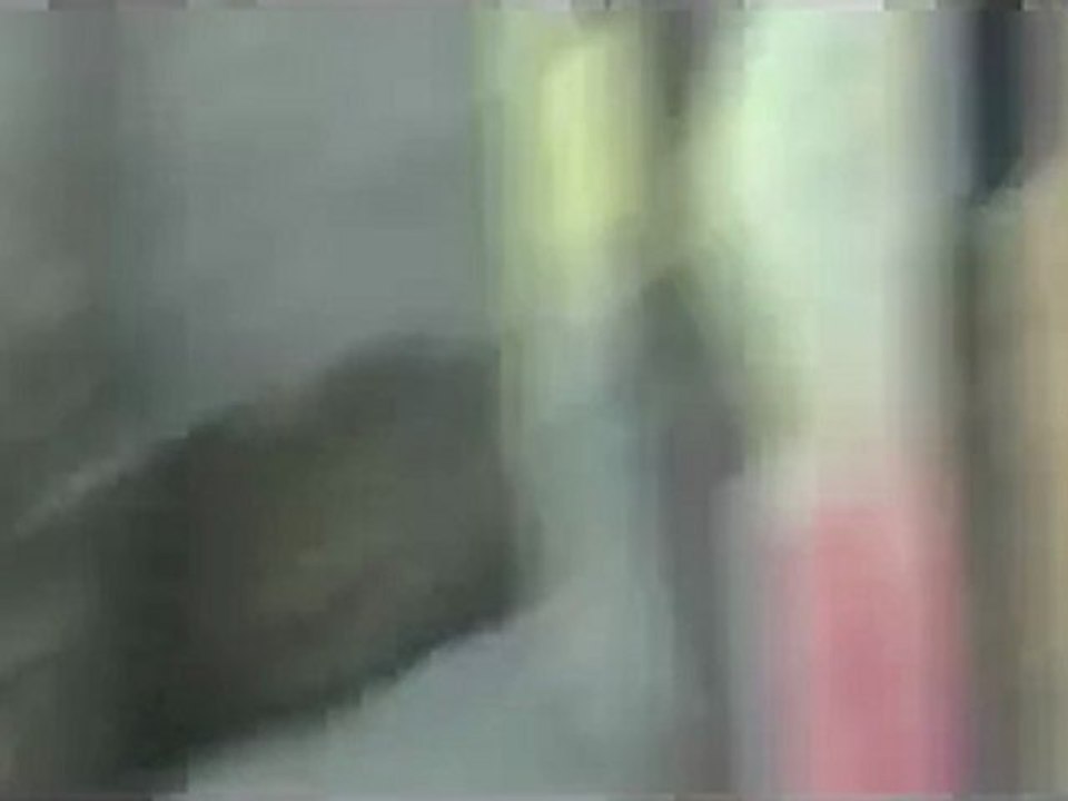 فري برس   دمشق القابون بعد صلاة عيد الأضحى و الأمن يطلق الرصاص 6 11 2011