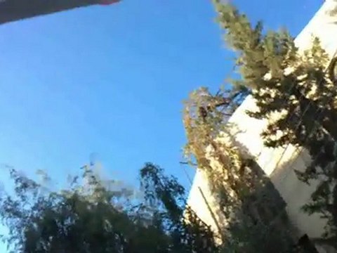 فري برس ريف دمشق مدينة سقبا اول أيام عيد الأضحى المبارك بالونات 6 11 2011