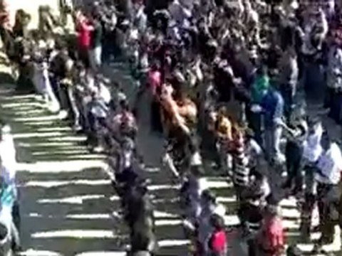 فري برس حماة الغاب بريديج مظاهرة صباحية نصرة لحمص الجريحة 7 11 2011