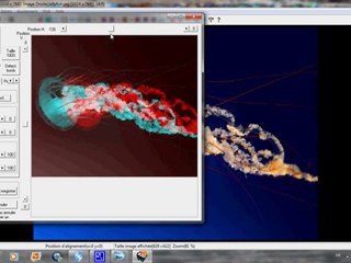 Transformer une Photo en 3D stéréoscopique  Anaglyphe