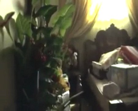 فري برس حمص كرم الزيتون اثار الدمار في البيوت 10 11 2011