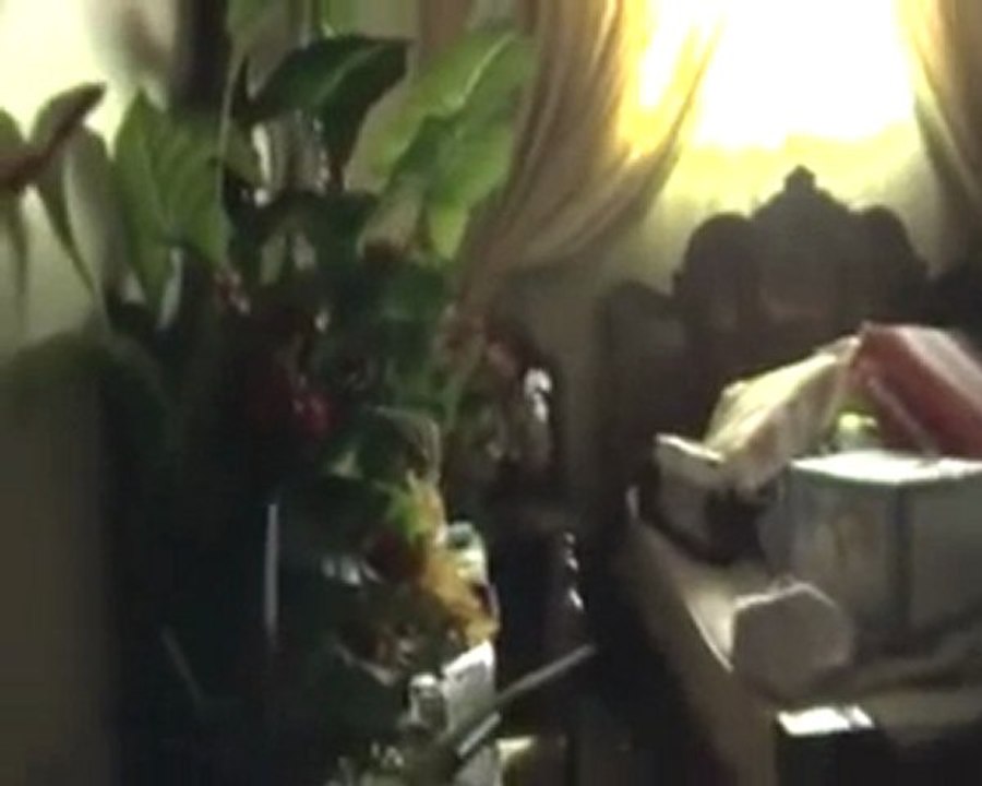 فري برس   حمص كرم الزيتون اثار الدمار في البيوت 10 11 2011