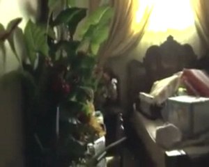 فري برس   حمص كرم الزيتون اثار الدمار في البيوت 10 11 2011