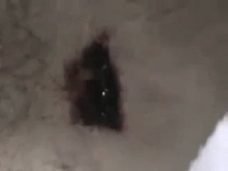 فري برس   الشهيد محمد علي الياسين رصاصة قناص العمر 48 عام 12 11 2011