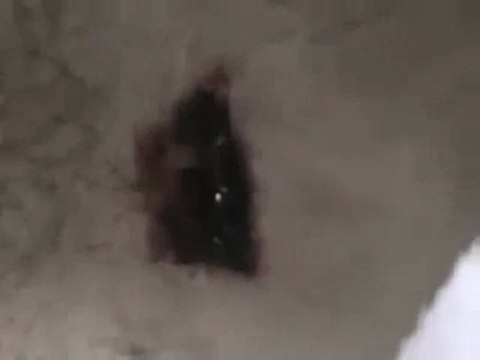 فري برس الشهيد محمد علي الياسين رصاصة قناص العمر 48 عام 12 11 2011