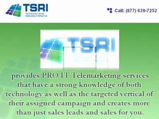 Pro IT Telemarketing Services