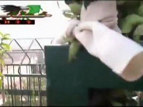 فري برس حماه خطاب اطلاق نار كثيف 16 11 2011