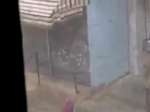 فري برس الجيش الاسدي الجائع في بلدة تسيل 18 11 2011