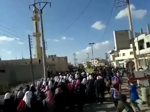 فري برس درعا الطيبة مظاهرة طلابية للمطالبة باسقاط النظام 21 11 2011 جـ1