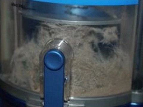 Shark Navigator Upright Bagless Vacuum Cleaner