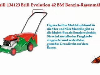 10 Besten Brill rasenmäher Zum Kaufen