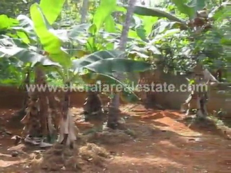 Thiruvanthapuram Properties for sale : Land for Sale at Ayurveda Hospital Junction, Varkala