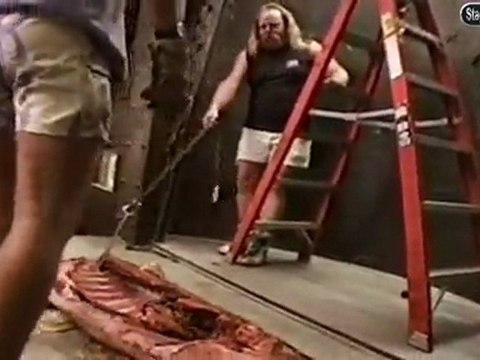 Stagehand TV-Behind The Scenes Footage Nine Inch Nails