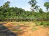 Alleppey  Properties for sale : Plot for Sale at Mavelikkara, Kattanam Main Road, Thadathil Junction, Alleppey District