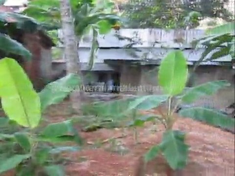 Trivandrum Real Estate :House and Land for Sale at Thirumala Kunnapuzha, Trivandrum