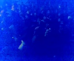 فري برس   إدلب   كللي أحد عين الحقيقة 27 11 2011