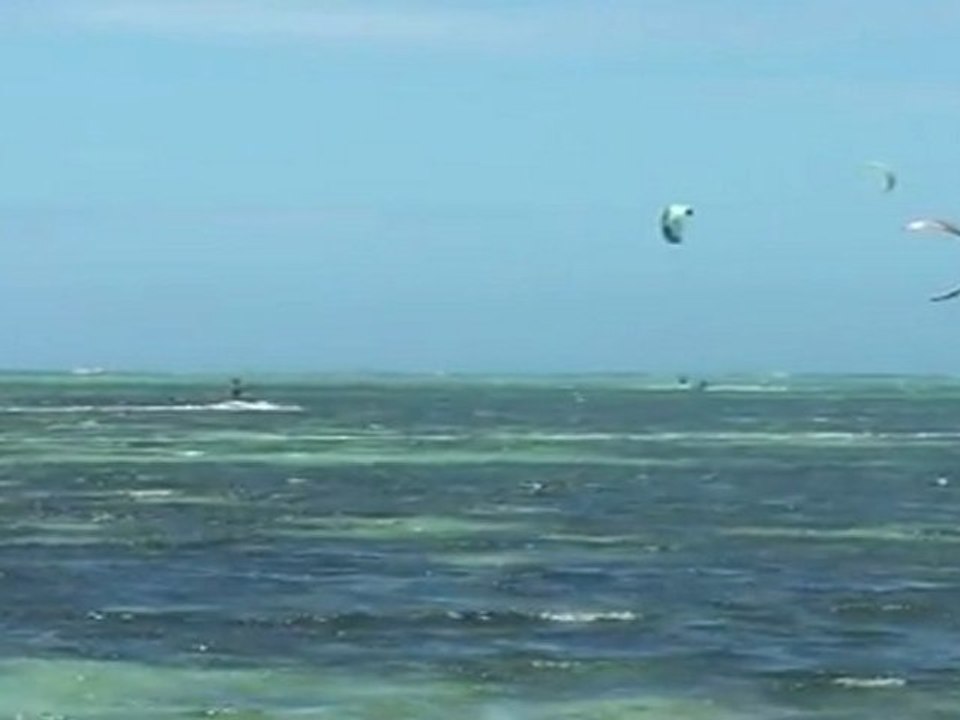 Fred en kite_01