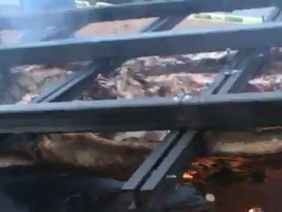 Clip 13