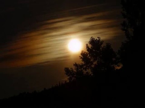 Nicu Alifantis - Vino Noaptea