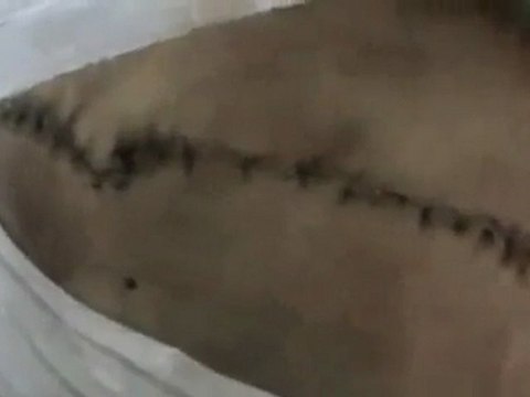 فري برس حمص الخالديّة الشّهيد عبد الجبّار زعرور 03 01 2012