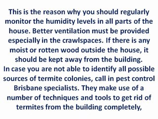 Top Tips for Keeping the Termites Away