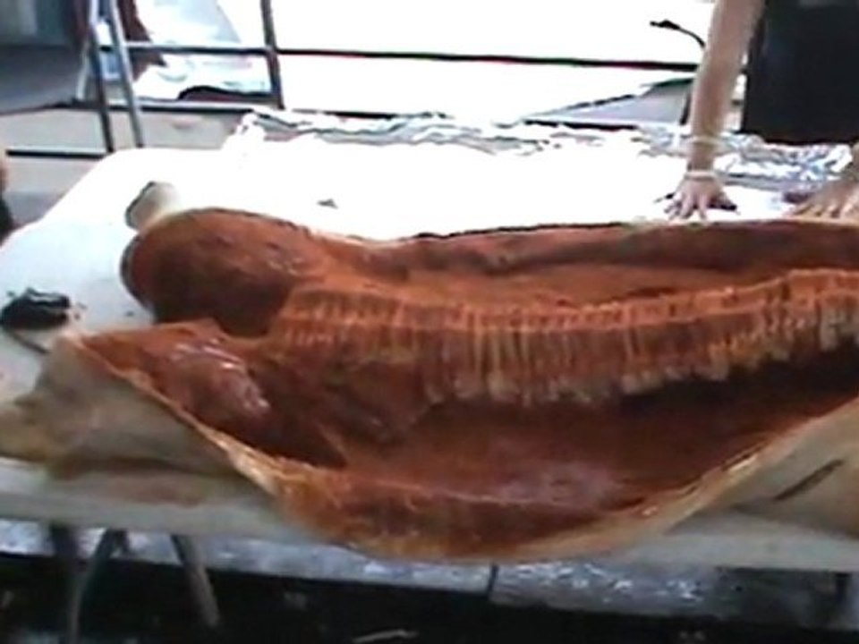 MIM  Clip 33