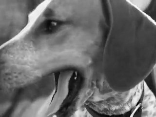 Juliet, 8 ans et déjà chanteuse Metal Hardcore