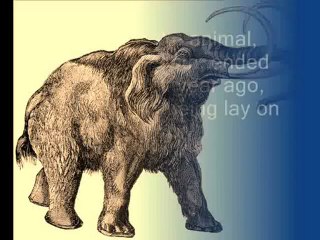 Prehistoric Animals and life