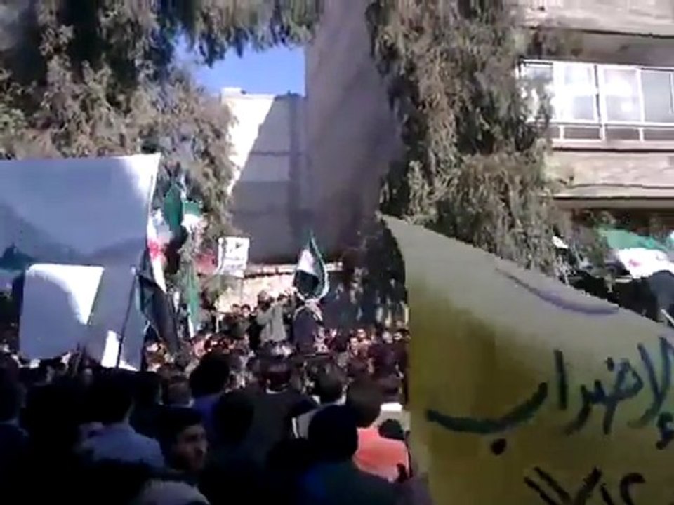 فري برس   عربين   مظاهرة رااائعة في أحد إضراب الكرامة 11 12 2011 ج1