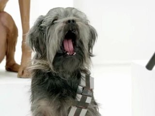 The Bark Side - Volkswagen - Pub Super Bowl 2012