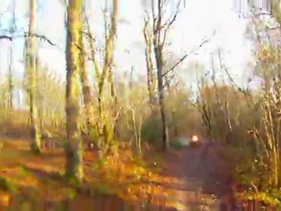 125 ktm 400 husqverna 800 polaris 2