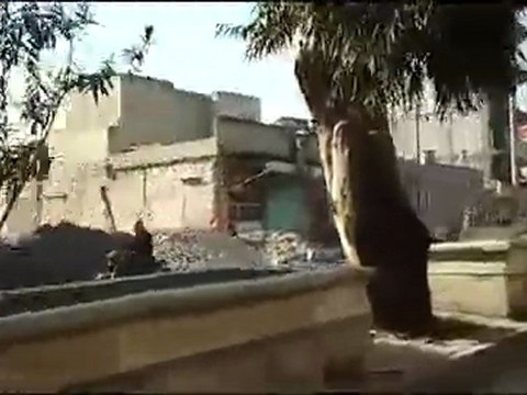 فري برس مشاركة مدينة الباب بحلب إضراب الكرامة 11 12 2011 ج5