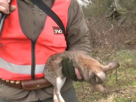 La SNCF part à la chasse aux lapins