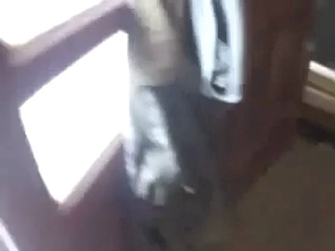 فري برس حمص باب تدمر قذيفة مسمارية على أحد المحلات 12 12 2011