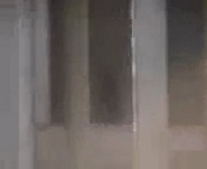 فري برس   انتشار القناصة في شارع العلمين الأحد اضراب الكرامة 11 12 2011