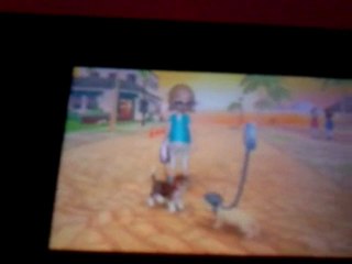 Présentation de Filou ( Nintendogs+Cats ).