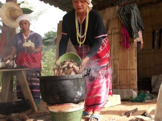 Thaïlande - Village Karen