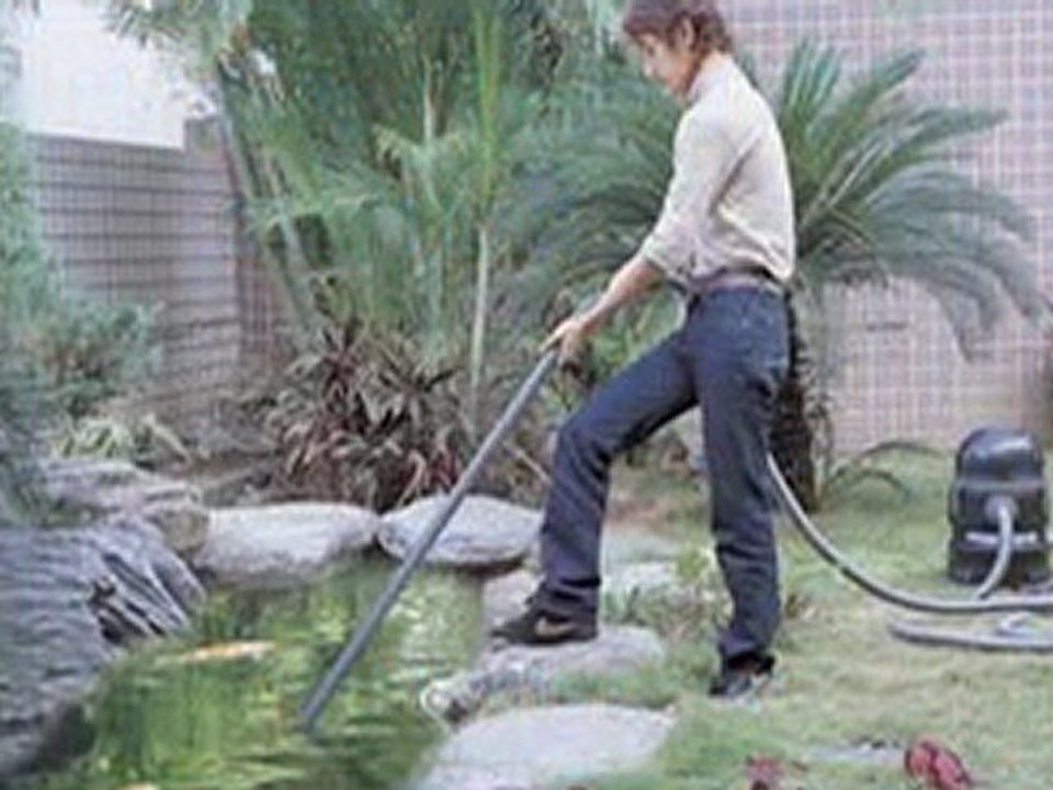 Matala Pond Vac ll (FREE SHIPPING)