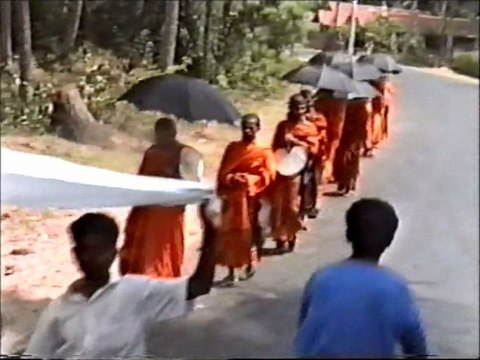 SRI LANKA rizières - cote sud .