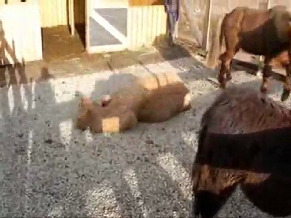 Un petit bout de paradis...