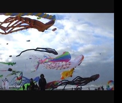 New Port 2012 cerf-volants,kites