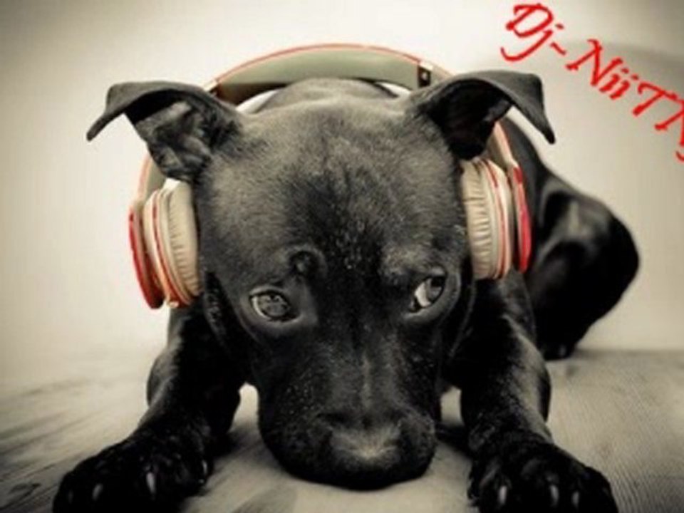 Dj-NiiTN3K Mimimimirage...!!!