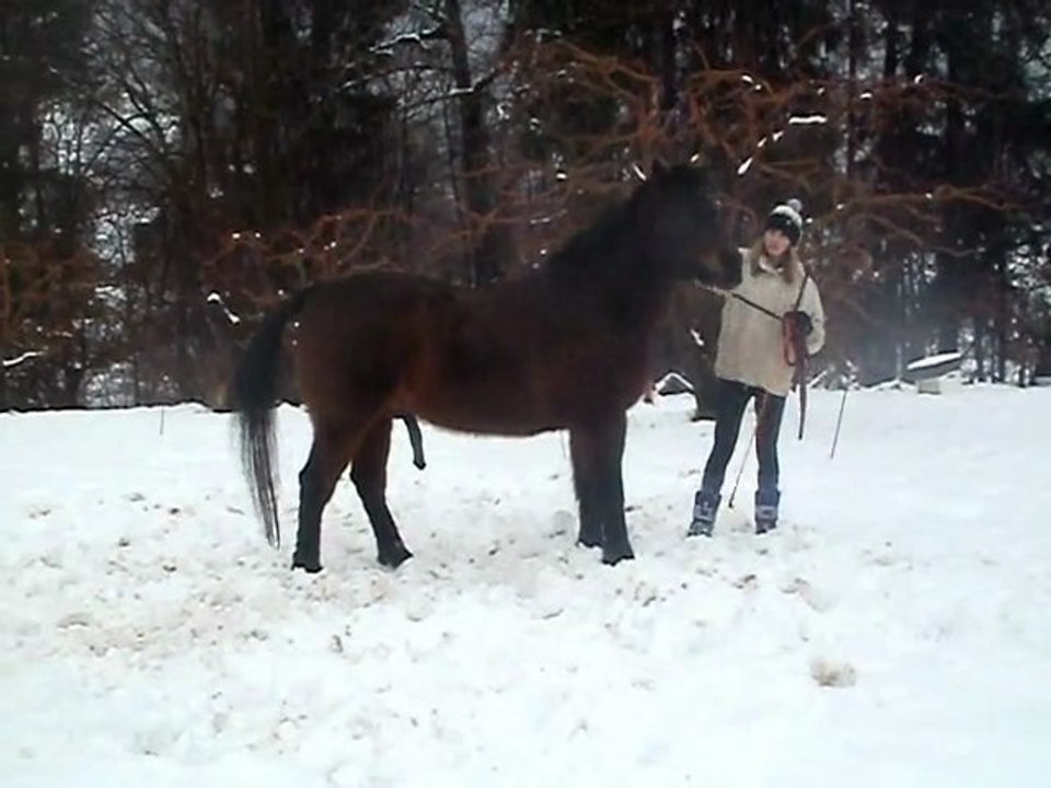 Hiver 2011-2012