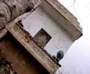 فري برس   اجتياح كتائب الاسد جبل الزاوية  قرية بلين 17 12 2011