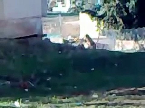 فري برس الجيش السوري متوجه نحو بلدة كفرنبود 17 12 2011