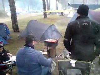 pinguinos 2012 les rhinos