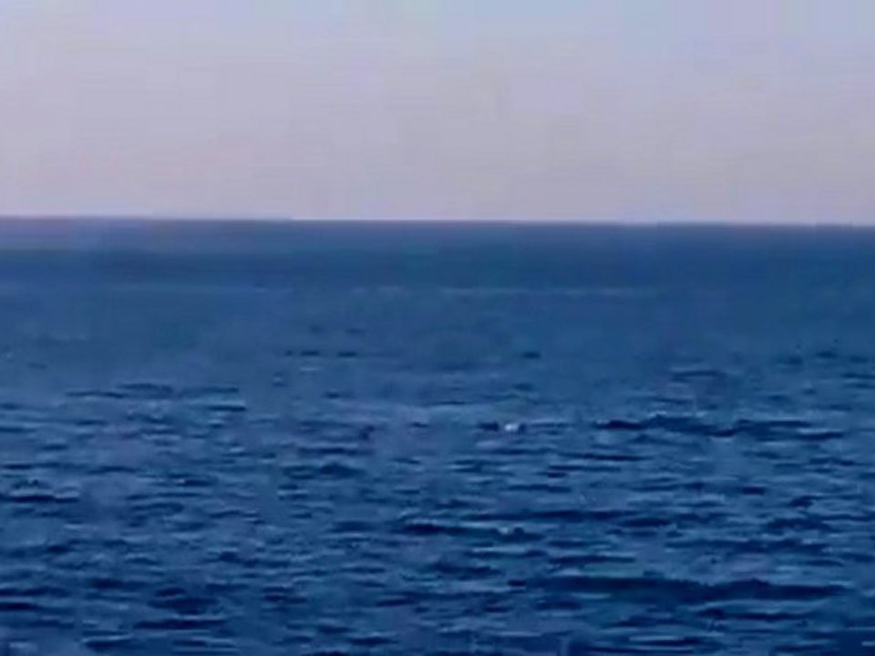 فري برس   جبلة   السفن الحربية على شواطئ جبلة 19 12 2011