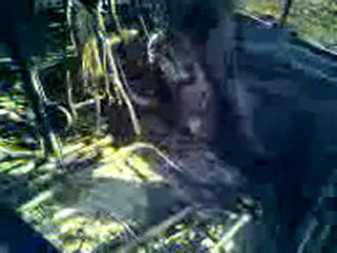 فري برس ادلب كفرموس احراق السيارات من قبل عصابات الاسد 19 12 2011